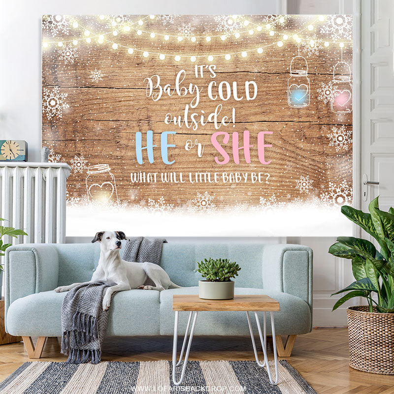 Lofaris Baby Its Cold Outside Gender Reveal Shower Backdrop