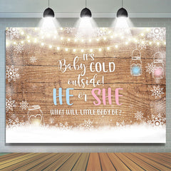 Lofaris Baby Its Cold Outside Gender Reveal Shower Backdrop