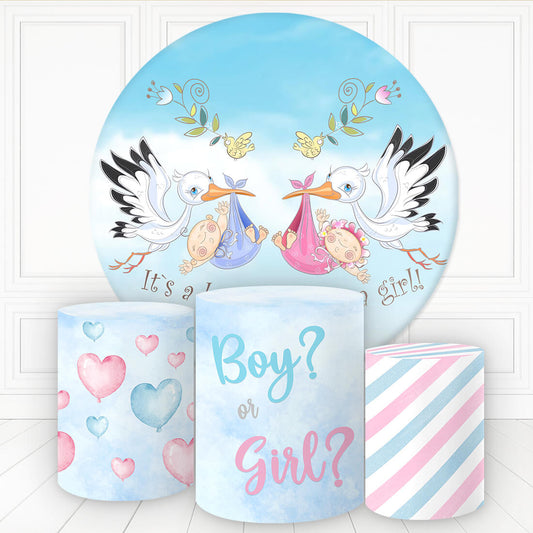 Lofaris Birds Swaddle Gender Reveal Round Backdrop Kit For Baby Shower