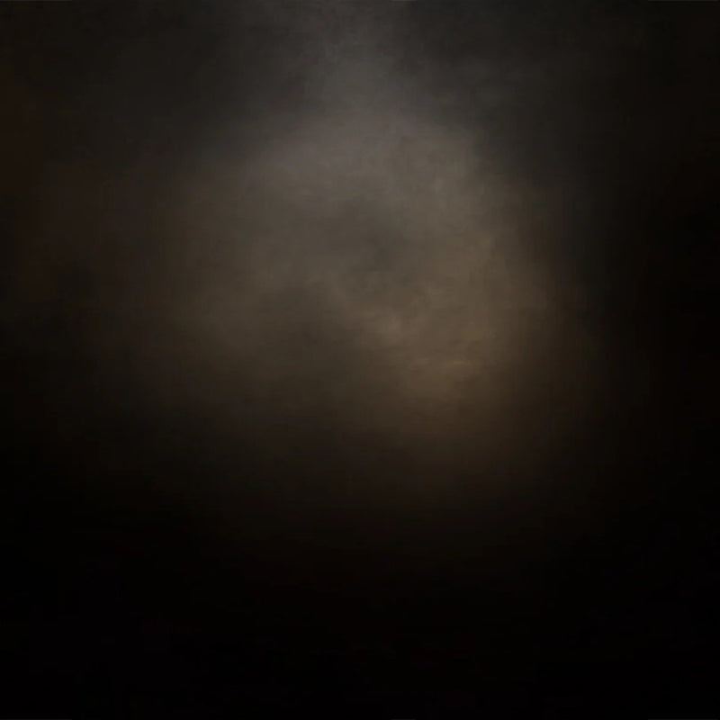 Lofaris Black And Brown Old Master Photo Backdrop For Portrait