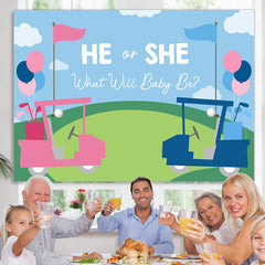 Lofaris Blue And Pink Bike He Or She Baby Shower Backdrops