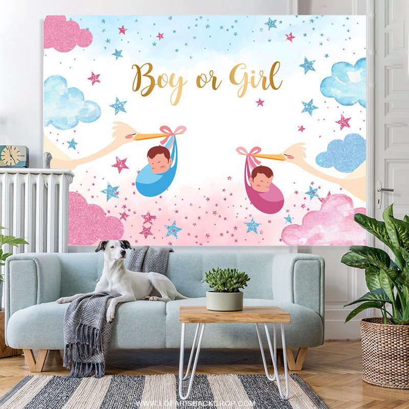 Lofaris Boy Or Girl Starry Cloud Crane Gender Reveal Backdrop