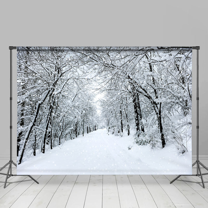 Lofaris Cold Snowy And Mysterious Highway White Winter Backdrop