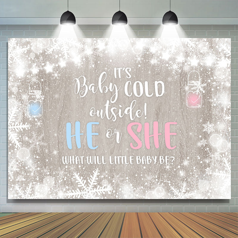 Lofaris Cold Winter Snowflake Gender Reveal Baby Shower Backdrop