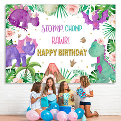 Lofaris Cute Dinosaur Stomp Chomp Rawr Happy Birthday Backdrop