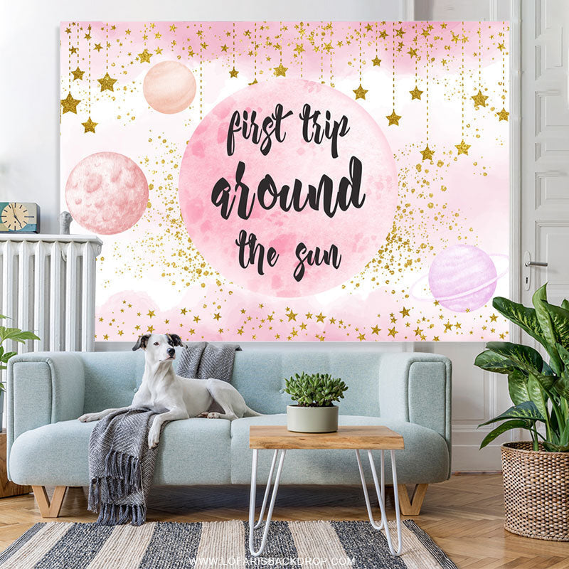 Lofaris First Trip Around The Sun Pink Gold Birthday Backdrop