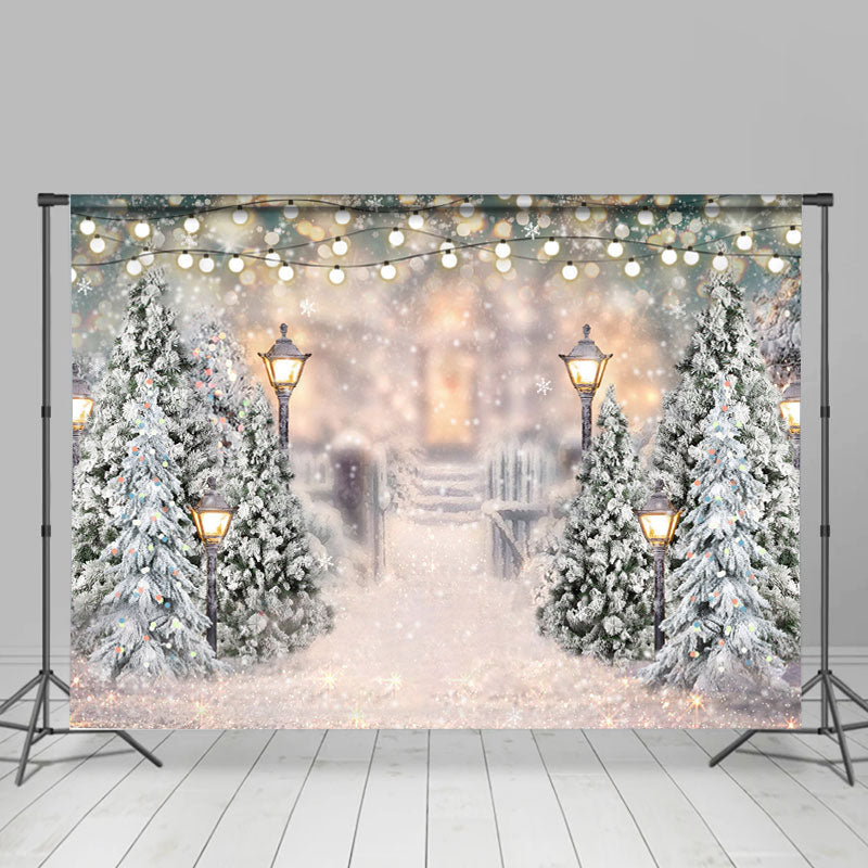 http://www.lofarisbackdrop.com/cdn/shop/products/glitter-and-snowy-world-with-street-lamp-winter-backdrop-custom-made-free-shipping-771.jpg?v=1680207382