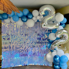 Lofaris Glitter Shimmer Wall Backdrop Panels Awesome For Proposal Event Holiday Grades