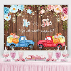 Lofaris He or She Car Board Photoshoot Backdrop for Baby Shower