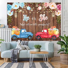 Lofaris He or She Car Board Photoshoot Backdrop for Baby Shower