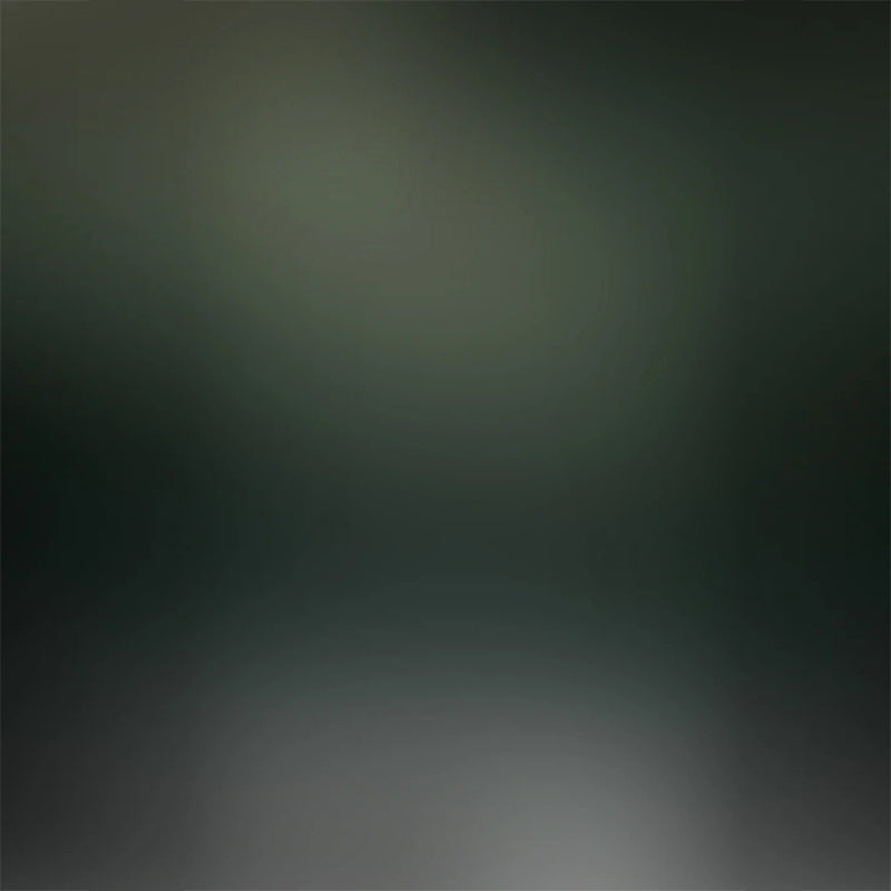 Lofaris Cold Tones Of Dark Green Photo Backdrop For Portrait