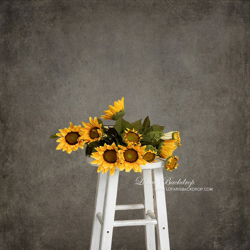 Lofaris Old Master Khaki Brown Photo Backdrop For Portrait