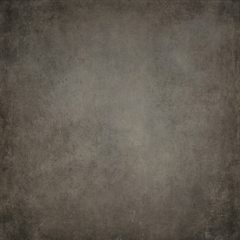 Lofaris Old Master Khaki Brown Photo Backdrop For Portrait