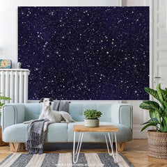 Lofaris Night Sky Star Universe Space Theme Birthday Backdrop