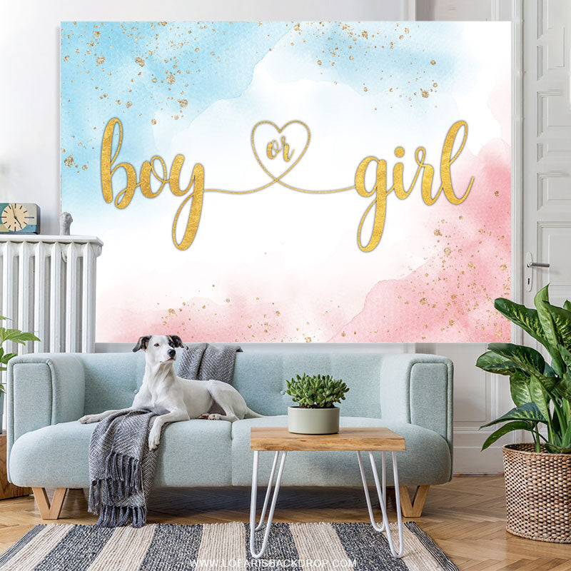 Lofaris Simple Baby Blue And Pink Gender Reveal Backdrop