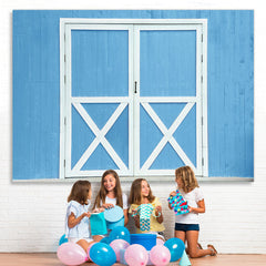 Lofaris Simple White And Blue Door Wooden Wall Spring Backdrop