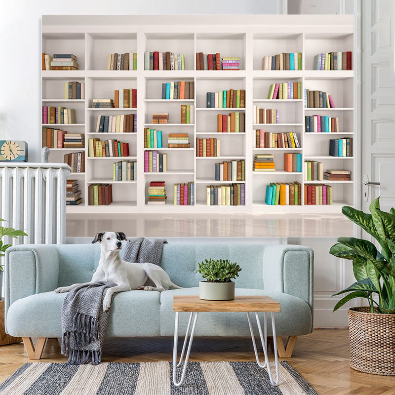 Lofaris White shelf full of books back to school Backdrop