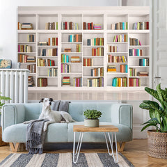 Lofaris White shelf full of books back to school Backdrop