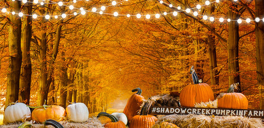Let’s grab the tail of autumn-hold an autumn party!