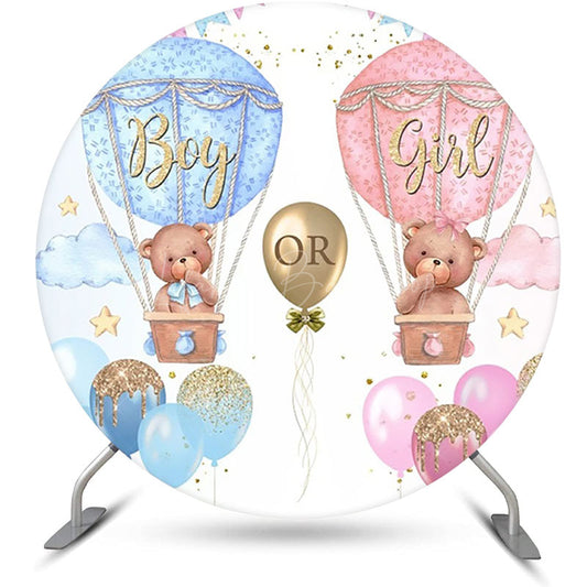 Lofaris Blue Pink Hot Balloon Round Gender Reveal Backdrop