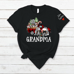 Lofaris Custom Christmas Gnome Grandma And Kids T - Shirt