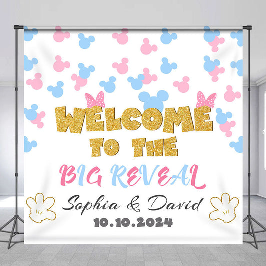 Lofaris Customized Name Welcome Big Reveal Birthday Backdrop