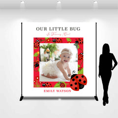 Lofaris Customized Photo Red Ladybird Birthday Backdrop
