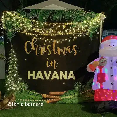 christmas backdrop - lofaris