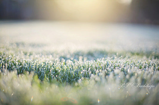 Lofaris Field Flowers Spring Wedding Backdrop For Portrait