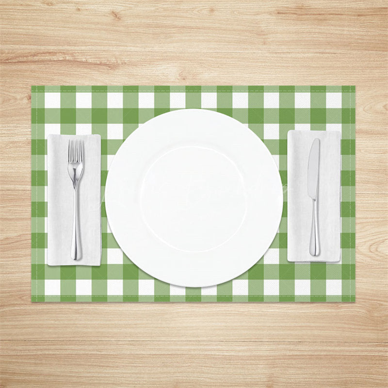 Lofaris Gentle Green White Plaid Modern Set Of 4 Placemats