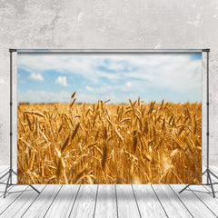 Lofaris Golden Wheat Field Blue Sky Summer Photo Backdrop