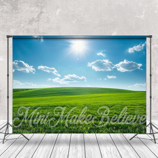 Lofaris Grassland Blue Sky Cloud Spring Backdrop For Photo