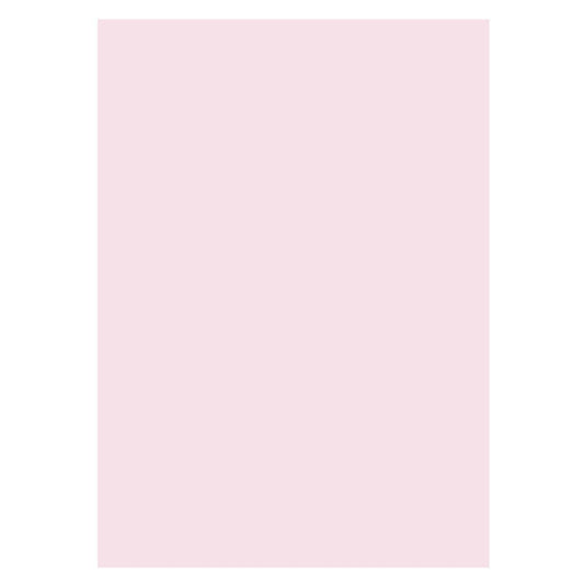 Lofaris Light Pink Solid Color Studio Photography Backdrop