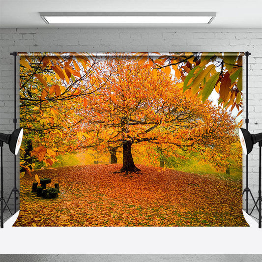 Lofaris Autumn Deciduous Forest Warm Photography Backdrop