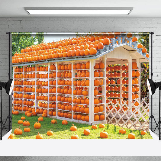 Lofaris Autumn Pumpkin House Sunshine Photography Backdrop