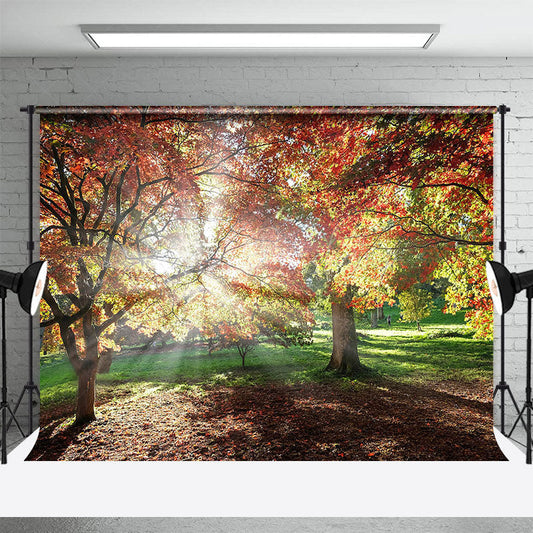 Lofaris Autumn Sunshine Forest Warm Photography Backdrop