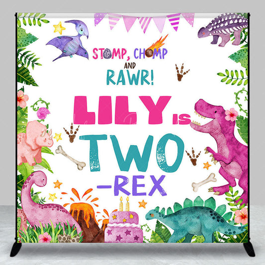 Lofaris Baby Dinosaur Two Rex Custom Name Birthday Backdrop