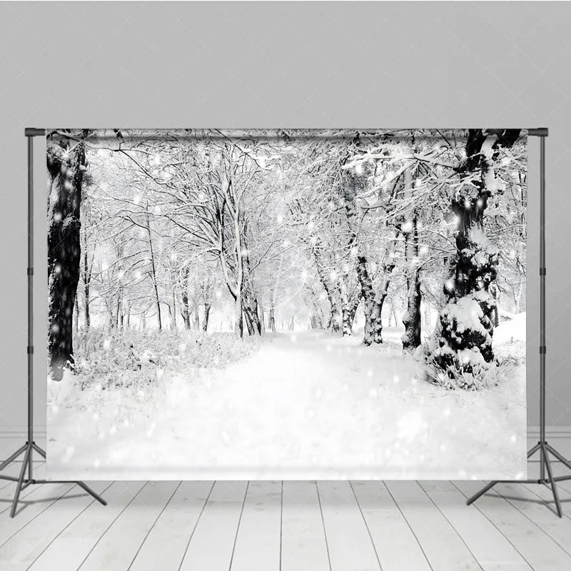 Lofaris Black and White Winter Forest Combo Set Backdrop Snowy Path Through the Trees Moody Holiday Photo Scene