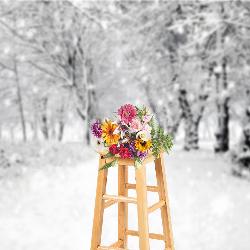 Lofaris Black and White Winter Forest Photography Backdrop Snowy Path Through the Trees Moody Holiday Photo Background