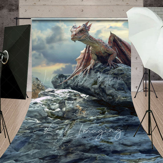 Lofaris Cloud Rocks Welsh Dragon Natural Scene Sweep Backdrop