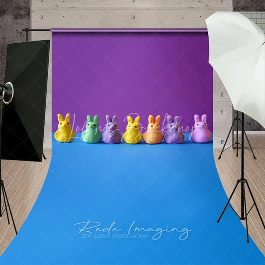 Lofaris Colorful Bunny Candies Easter Photography Backdrop Purple and Blue Pop Art Sweep Portrait Studio Background