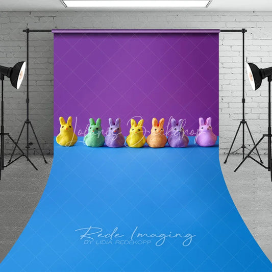 Lofaris Colorful Bunny Candies Easter Photography Backdrop Purple and Blue Pop Art Sweep Portrait Studio Background