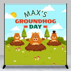 Lofaris Custom Birthday Backdrop Groundhog Day Cartoon Animals Green Grass Party Decor