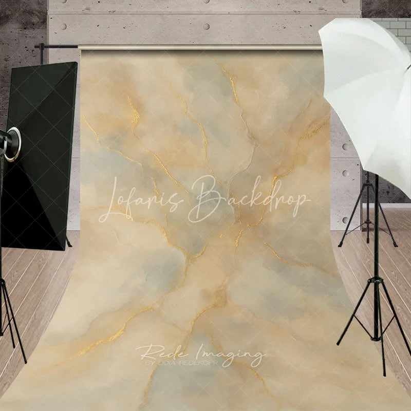 Lofaris Elegant Abstract Textured Sweep Backdrop with Golden Veins Beige and Grey Artistic Photography Background