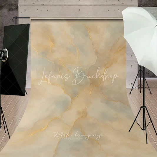 Lofaris Elegant Abstract Textured Sweep Backdrop with Golden Veins Beige and Grey Artistic Photography Background