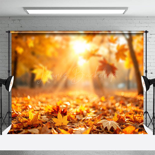 Lofaris Fallen Leaves Under Sunshine Bokeh Autumn Backdrop