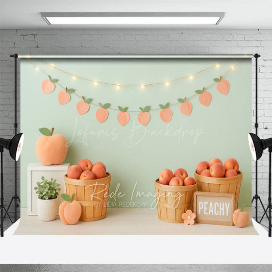 Lofaris Fresh Pink Peachy Lights Wall Cake Smash Backdrop