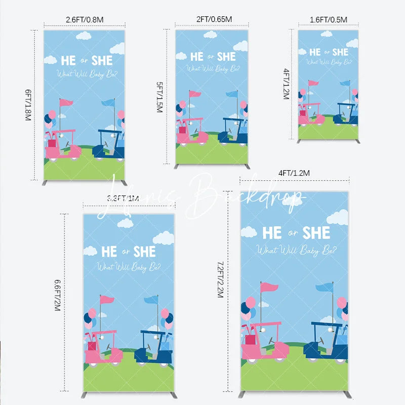 Lofaris He or She Golf Theme Gender Reveal Rectangle Arch Backdrop Pink and Blue Baby Shower Party Decor