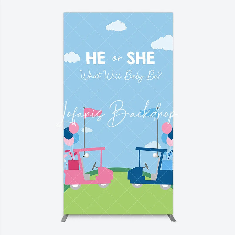 Lofaris He or She Golf Theme Gender Reveal Rectangle Arch Backdrop Pink and Blue Baby Shower Party Decor