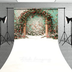 Lofaris Holly Berry Arch Sweep Backdrop Teal Wall Green Leaves Photography Background Winter Christmas Floral Holiday Party Decoration
